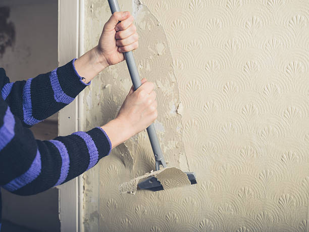 istock Woman stripping wallpaper 510631696