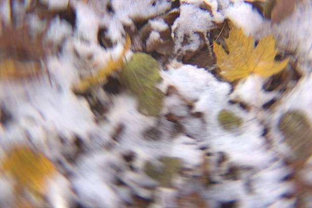istock Fun in the Snow 510632569