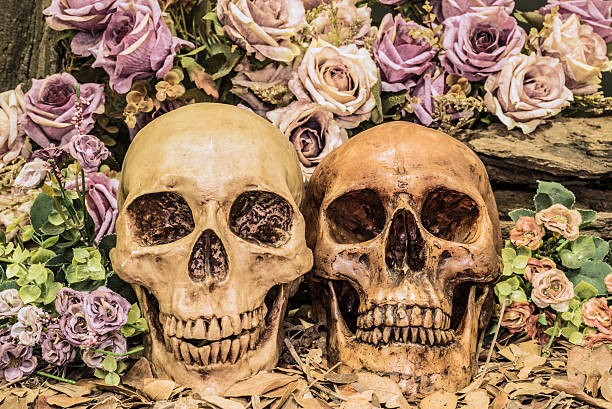 istock still life couple human skull with roses 510635030