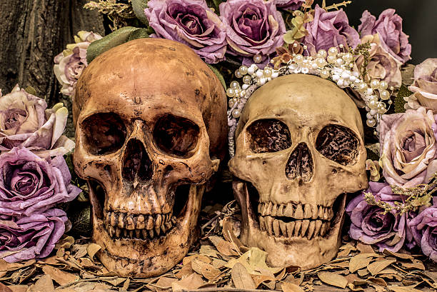 istock still life couple human skull art abstract background 510635402