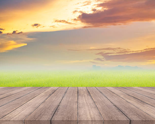 istock Wood plank and natural grass field with sky background 510637106