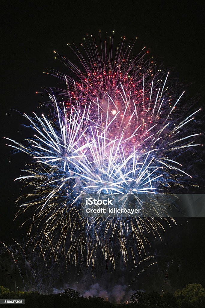 Beautiful colorful fireworks Beautiful colorful and professional fireworks with night sky and trees at the bottom Abstract Stock Photo