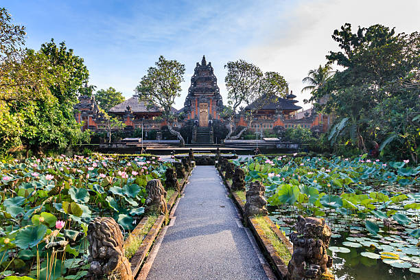 блузка лотос храм (бали) в начале утро - formal garden tropical climate park plant стоковые фото и изображения