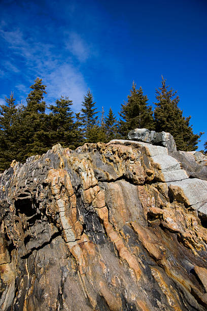 istock Rock texture of Maine coast 510637522