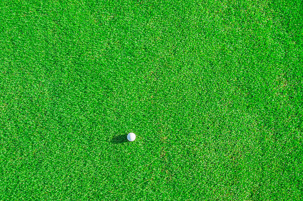 istock Golf club. Green field and ball in grass 510639081