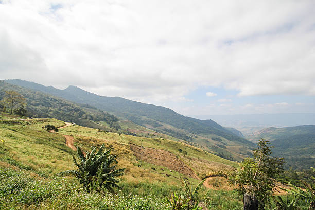 istock Doi Pha Tang, Chiang Rai Thailand 510640598