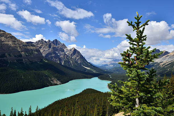 istock Peyto Lake 510655999