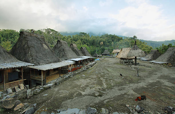 istock Bena village, Flores island 510657151