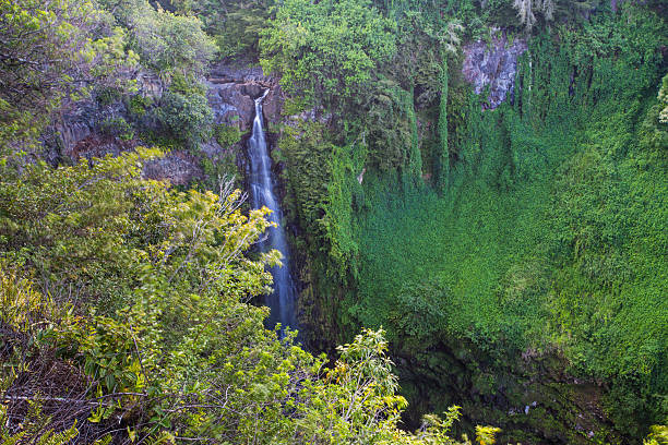 cachoeiras no havaí - waterfall hawaii islands maui oahu - fotografias e filmes do acervo