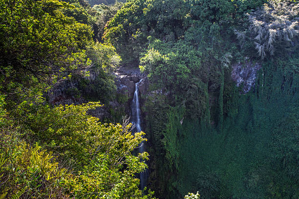 cachoeiras no havaí - waterfall hawaii islands maui oahu - fotografias e filmes do acervo