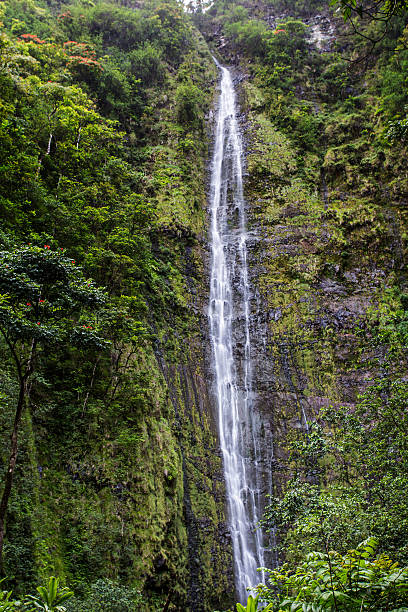 cachoeiras no havaí - waterfall hawaii islands maui oahu - fotografias e filmes do acervo