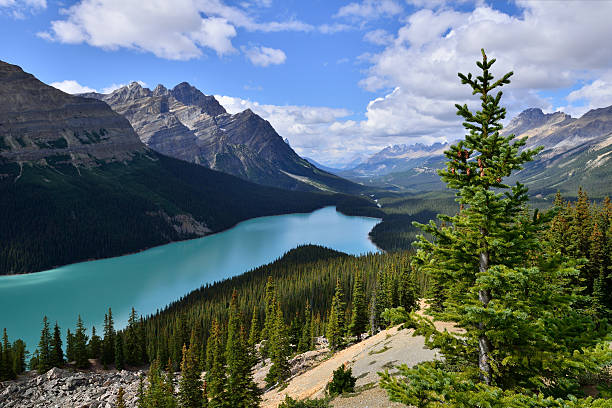 istock Peyto Lake 510658085