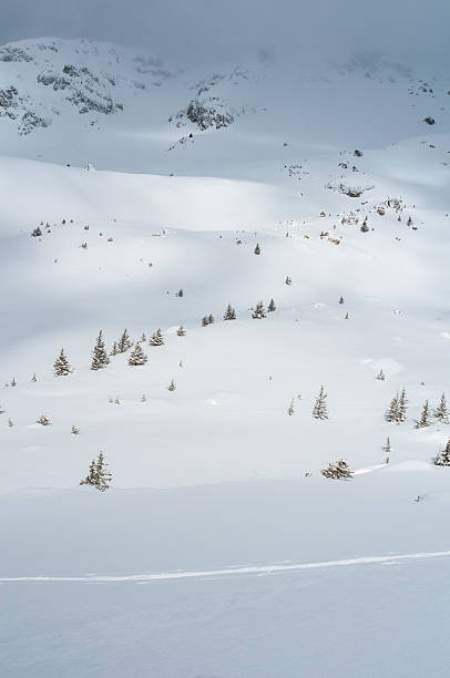 istock Winter Landscape with Snow and Trees 510658733