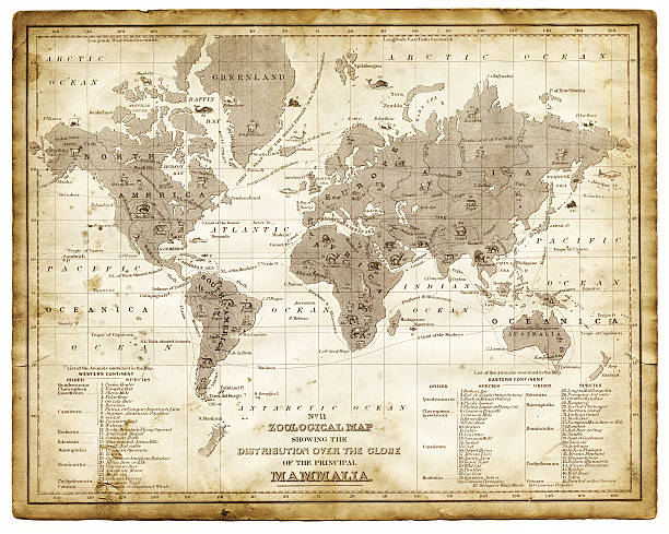 istock Zoological Map of the World 1886 510659359