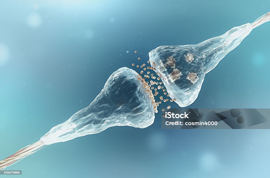 Synapse and Neuron cells sending electrical chemical signals Neurotransmitter Stock Photo