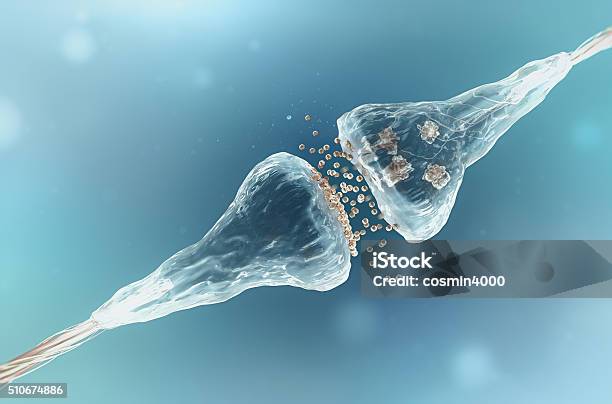 Synapse And Neuron Cells Sending Electrical Chemical Signals Stock Photo - Download Image Now