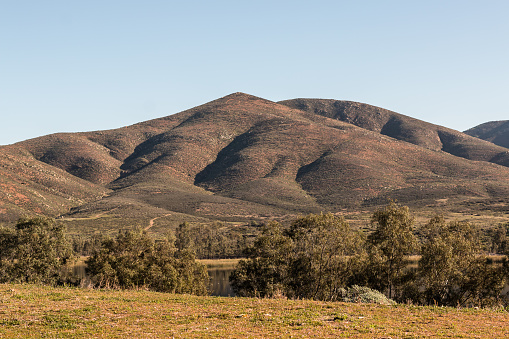 Mountain and lake and trees at Lower Otay Lake in Chula Vista, California