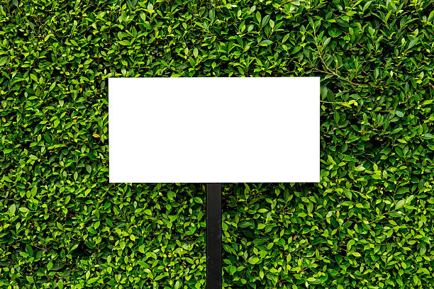 istock empty sign for message with green plant 510680168