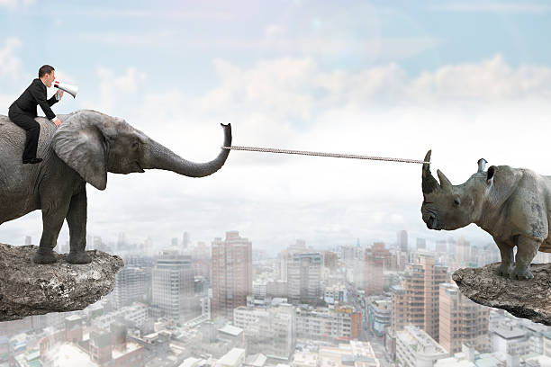 istock Man sitting on elephant against rhinoceros with rope pulling 510686086