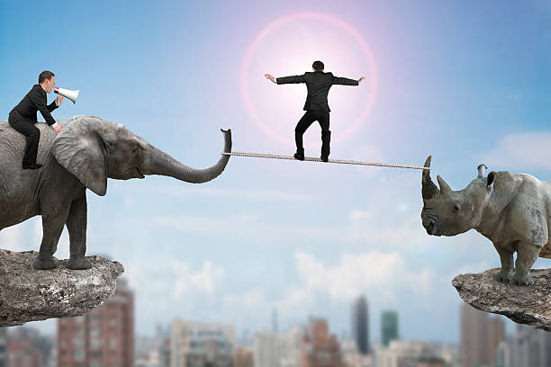 istock Man riding elephant against rhinoceros with another balancing ro 510686498