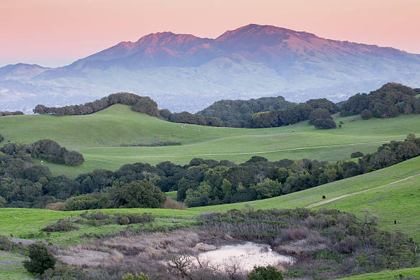puesta de sol sobre césped ondulantes colinas y sierra del diablo de california - hill green california grass fotografías e imágenes de stock