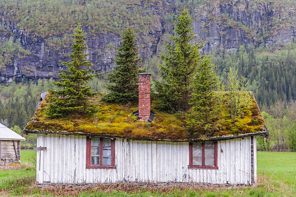 It is an abandoned house in Hemsedal, Norway. In many Scandinavian countries they grew grass on their roof because it is a fantastic insulator.