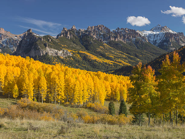 autunno colore pioppi sulle montagne rocciose - rocky mountain national park foto e immagini stock