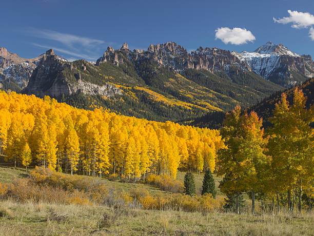 Fall Color aspens in the Rocky Mountains Aspens in full fall colour high in the Rocky Mountains of Colorado, USA rocky mountain national park photos stock pictures, royalty-free photos & images