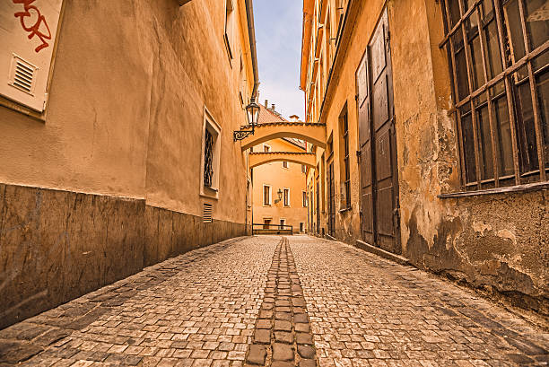 istock Pedestrian alley in Prague 510689091
