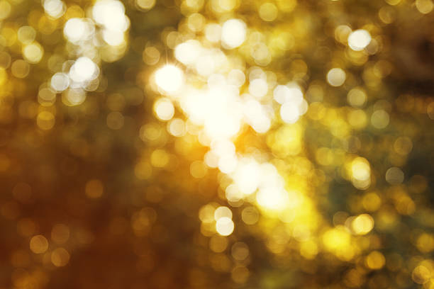 istock bokeh in autumn forest 510689661