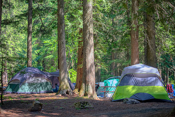 istock Camping in Glacier National Park 510690123