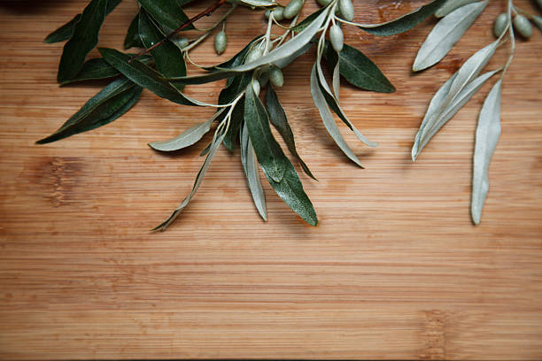 vert les branches - eucalyptus wood photos et images de collection