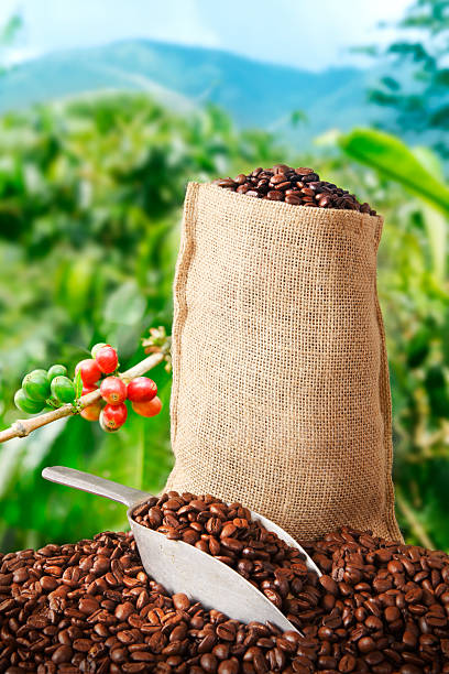 torba z kawa i plantation za - coffee bag coffee bean canvas zdjęcia i obrazy z banku zdjęć