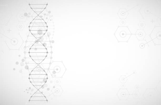 Science template, wallpaper or banner with a DNA molecules. vector art illustration