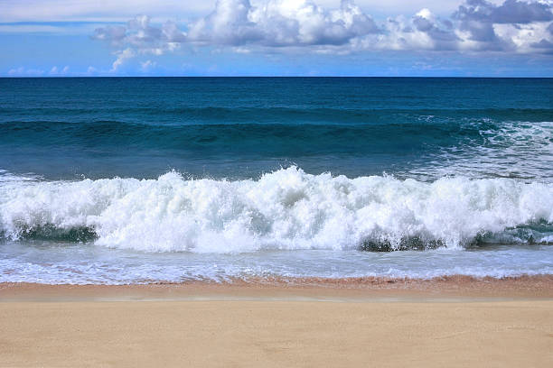 istock At a Hawaiian beach 510692177