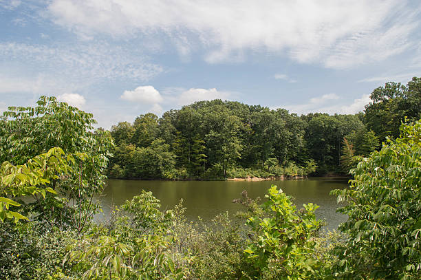 istock Green Trees River and Blue SKy 510694455