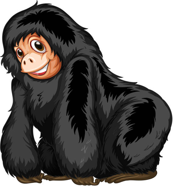 Black ape Illustration of a closeup gorilla standing huge silverback gorilla stock illustrations
