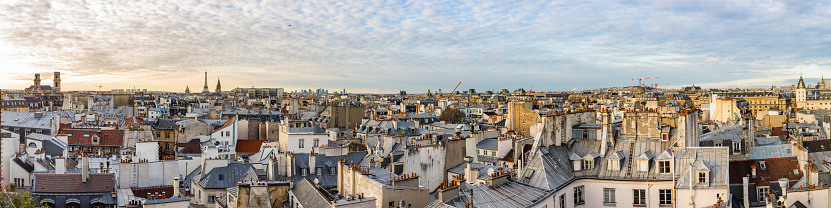 Panorama of the Paris, France skyline showing the traditional Haussmann architecture and rooftops