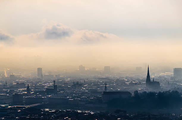 istock Skyline of Linz in Upper Austria 510697898