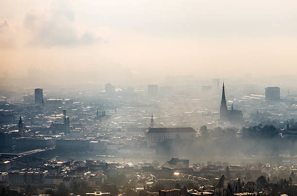 Skyline of Linz on a cloudy and misty february morning. Linz is the capital city of Upper Austria and has more than 200.000 citizens. Soft post-processing with professional photo editing software. Photo made outdoor with a D7000 and 16-85mm lens. Low ISO, soft grain.