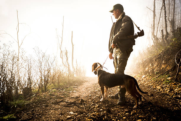 Hunter and his dog in the forest Hunter with rifle standing on gravel road and holding dog on a leash. Bright light is in the background. hunting stock pictures, royalty-free photos & images