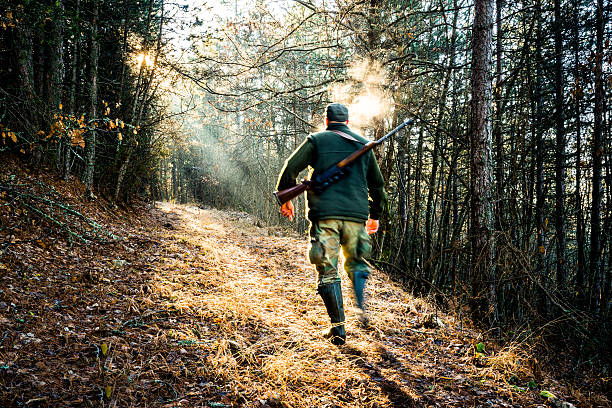 istock Hunter with rifle moving in the forest 510698886