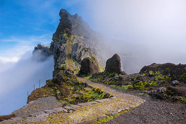 mountain trail in madeira above the clouds - 馬德拉 個照片及圖片檔