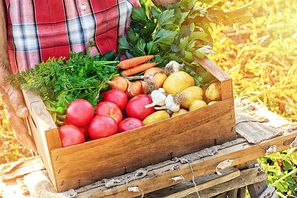 Man holding crate with fresh vegetables