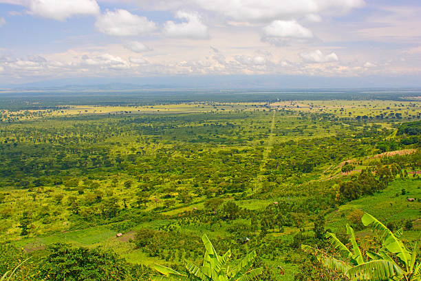 Panoramic View in the Plains of Africa