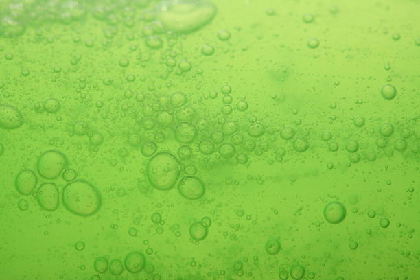 istock soap bubbles green liquid background 510721523