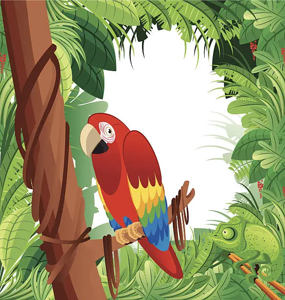 Vector illustration of Parrot rainforest