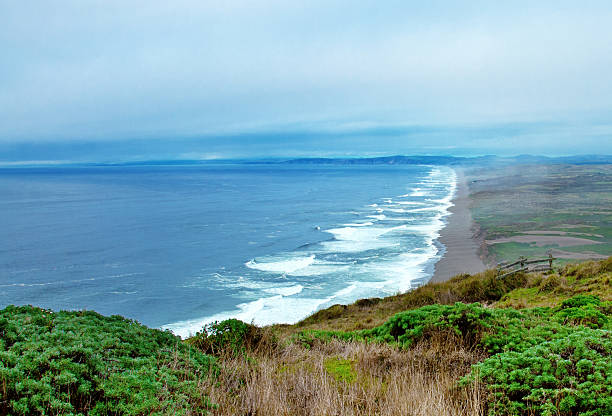 istock Point Reyes National Seashore, California 510722181