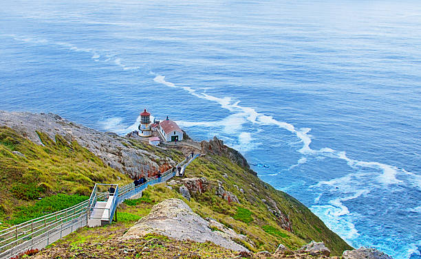 point reyes national seashore, kalifornien - point reyes national seashore northern california beach california stock-fotos und bilder