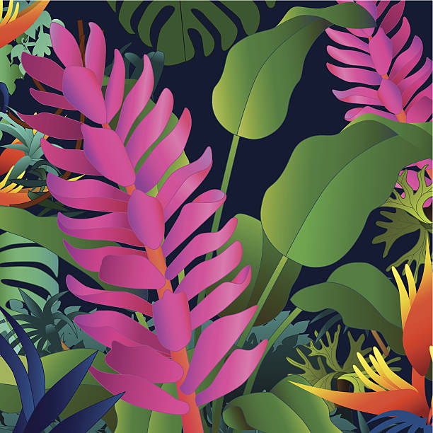 istock ornamental ginger and heliconia tropical flowers 510722277